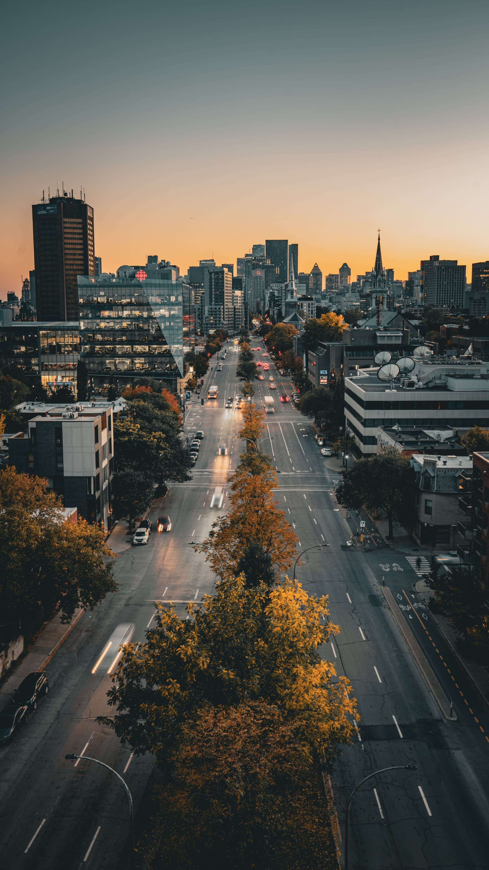 The city awakens under a golden sky, with streets lined by trees whose autumn leaves echo the warm hues above.