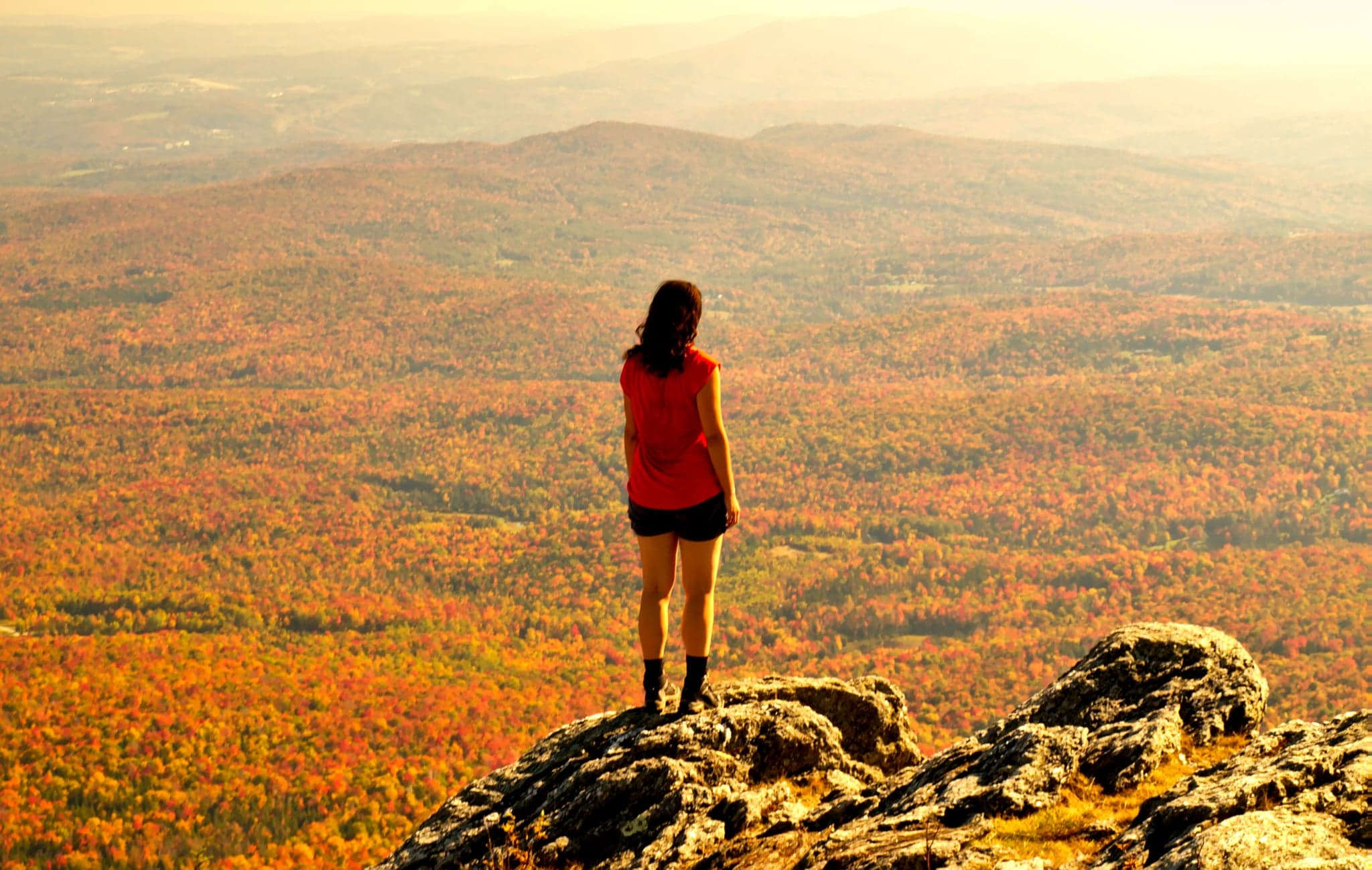 A lone figure gazes over a vast tapestry of autumn hues, where rolling hills meet the soft glow of a golden sky.