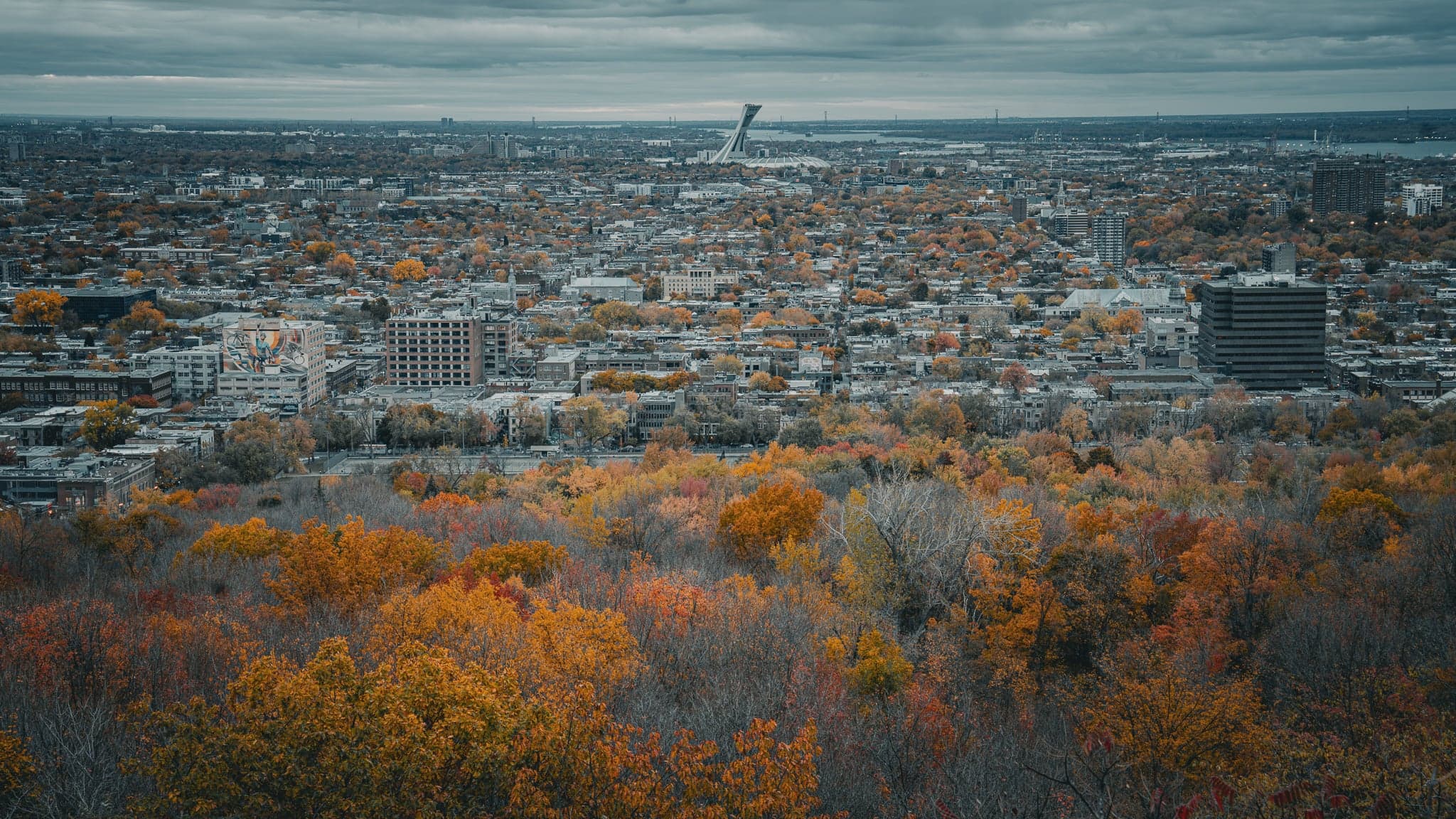 A tapestry of autumn hues blankets the cityscape, with fiery reds and oranges leading to the urban sprawl under a brooding sky.