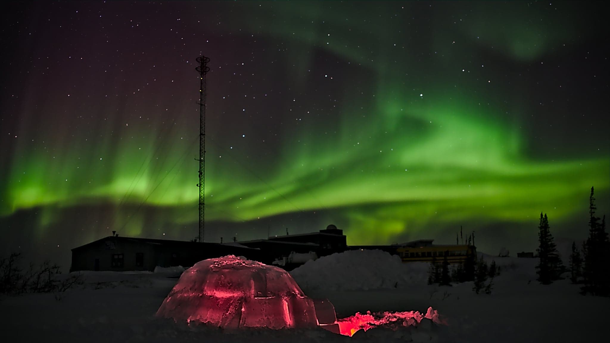 A glowing igloo bathes in the ethereal dance of the northern lights, vibrant greens and purples illuminating the snowy landscape.