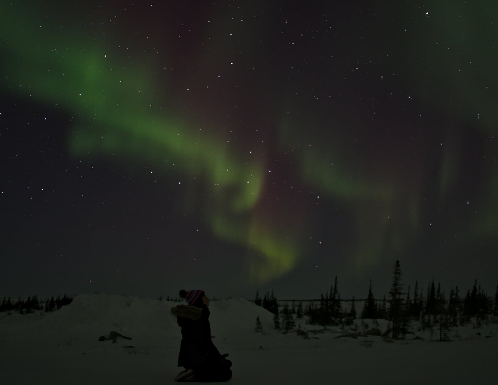 Rippling auroras paint the night sky in vivid greens, casting a mystical glow over the snowy landscape and silhouetted trees.